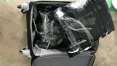 图为机场执法人员，在男女毒驴行李箱中所起获的毒品。