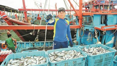 槟岛南部盛产许多鲳鱼，而且这鱼类批发价高，为渔民贡献不少收入。