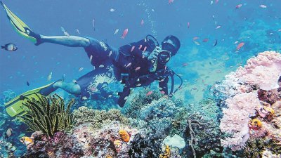仙本那海岛的海水清澈湛蓝，珊瑚绚烂多彩，是国人度假的好去处。