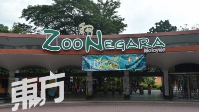 位于雪州淡江的国家动物园是每日早上9时开放至下午5时，设有多个动物展区，包括哺乳动物王国、人猿中心、熊猫馆、鸟舍、水族馆及熊广场等。（摄影：曾钲勤）