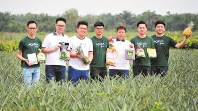 庄添顺（左起）、胡伟杰、陈冠宏、陈敃宏、李恩来、周伟雄及陈世任共同研发与创立AQINA Farm品牌，打造一个更健康的生态有机农业系统。 （摄影：杨金森）
