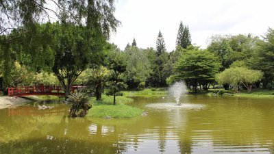 怡保市政厅将携手日本园艺专才，在DR湖滨公园，打造真正的“日本”花园。