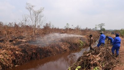 灭火队连日驻守瓜拉冷岳北部森林保护区，并将在确保林火不再死灰复燃后才宣布结束灌救工作。（档案照）