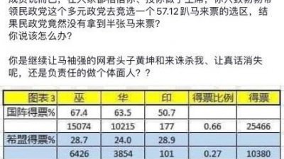 陈嘉亮在面子书标签刘华才，民政党竟然没有拿到半张马来票，你说该怎么办？
