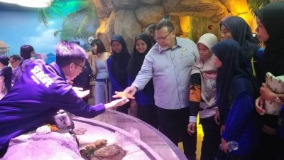 阿米诺胡达（右5）与学生们参观马来西亚乐高主题乐园的海洋探索中心，并伸手触摸海星模拟道具。