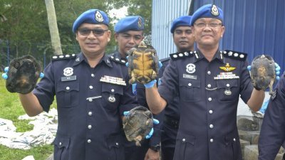 诺再益（左）向媒体展示水警部队起获的乌龟。