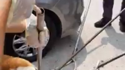 视频可以看见，梳邦再也市议会执法人员将流浪狗从车底拉出来。