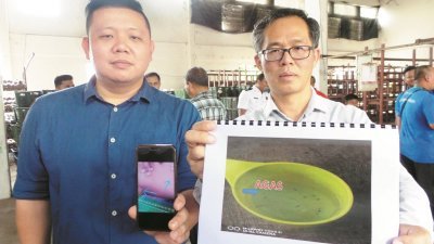 盘哲宾（左起）及刘志良出示村民指被小飞虫叮咬的照片。