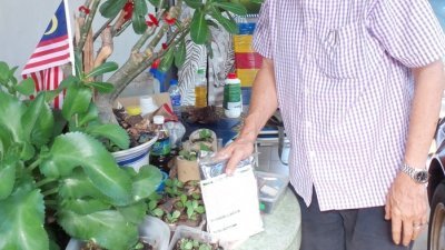 吴美磉住家的庭院种满植物，也摆放各种自制的生物科技天然产品，改善环境和人体健康。