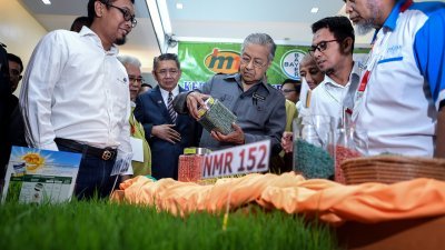 马哈迪（中）周二出席国家稻米大会时，视察以“Bayer SeedGrowth”技术培植的稻米种子，左3为沙拉胡丁阿育。