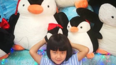 7岁女童锺恩宇在医院抢救逾一个月后，周五中午不治。（图由受访者提供）