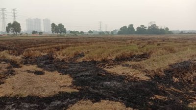甲州环境局在武吉南眉稻田区发现2处热点，并已即时扑灭火势。