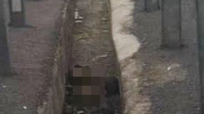 大道分界提沟渠内发现一具骷髅，警方接获投报后，前往现场展开调查。
