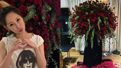 萧亚轩24日迎来41岁生日，在IG晒出一颗宛如玫瑰花树的照片。（图取自萧亚轩微博）
