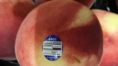 一款在美国包装的水蜜桃，怀疑产品与美国多州出现的肠炎沙门氏菌病例有关，遭新加坡食品安全局召回。