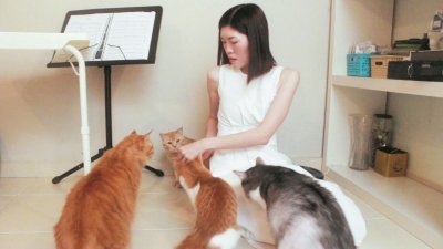 郭腾曦从一个对猫咪习性一无所知的饲主，蜕变成为只要猫咪一个动作，就能知道猫咪是开心、难过或是肚子饿的“高级猫奴”。