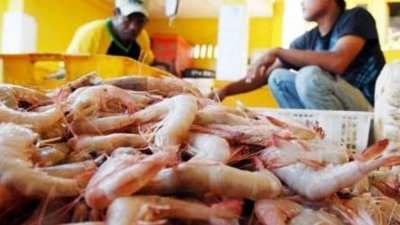 我国出口的虾被美国当局验出含有致癌抗生素，涉及公司被限制入口。