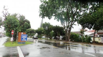 哥打叻沙玛纳第二期花园入口处道路两旁的大树茂密，刮风大雨恐酿意