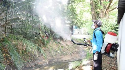 槟岛市政厅职员进行灭蚊喷雾工作。