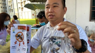 黄顺祥表示，其服务中心除了分派印有骨痛热症资讯传单外，也会分派斗鱼给当地民众，让他们放在家中没流动的水池中，以消灭蚊子孑孓。