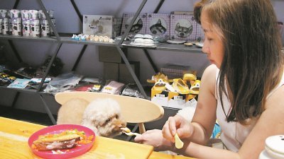 陈微琦有时会带她的狗，去宠物餐厅用餐。