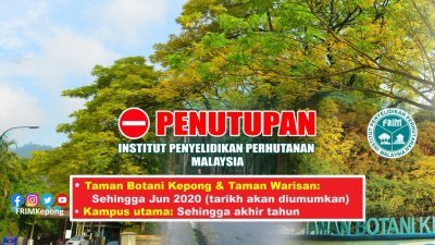 马来西亚森林研究院（FRIM）主要园区将继续关闭，直至另行通知开放日期为止，而甲洞植物园及宏愿公园则将在开斋节后，重新对外开放。（图取自FRIM面子书专页）
