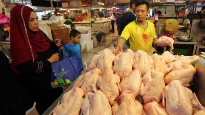 柔佛州贸消局接获肉鸡零售价格在有条件行动管制令期间暴涨的投诉，过去两周向71个单位展开突击检查。（档案照）