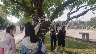 长荣大学周一发起追思锺筱玲，并结合反对性暴力的白丝带活动，不少学生参与，将白丝带系在路旁行道树上。
