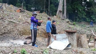 森林局执法员逮捕一名在森林保留地擅自砍伐树木的47岁男子。
