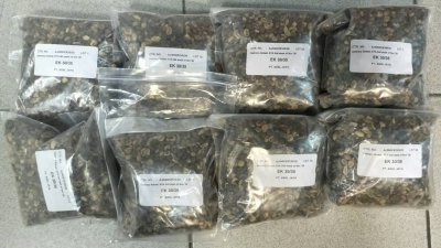 大马检疫及检验局成功拦截，未获得当局批准而进口至大马的一批咖啡豆。