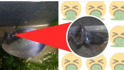 新加坡一对夫妻投诉，海鲜餐馆售卖的蚝油炒小芥兰藏了一只小青蛙，导致他们整晚上吐下泻。