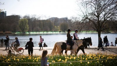随著英国新冠肺炎疫情趋缓，政府按计划逐步解封防疫措施。周日的海德公园，有民众骑马、骑脚踏车或散步，进行户外活动。（图取自路透社）