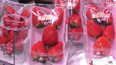日本4月起实施新版的种苗法，农林水产省9日宣布不得携带出境的1975个种子或苗木品种名单，包括麝香葡萄、甘王草莓、天空莓等。（图取自中央社）