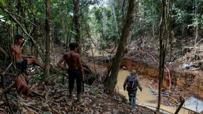 巴西亚马逊雨林非法盗采金矿与钻石行为盛行，正侵扰坐落于巴西与委内瑞拉接壤之处的原住民部落雅诺马米族。图为2016年，雅诺马米族人跟随巴西环保局的人员在寻找当地的非法金矿。（图取自路透社）
