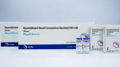 中国智飞重组新型冠状病毒疫苗（CHO细胞）第三期临床试验关键性数据出炉，显示对Delta变异株的保护效力达到77.54%。