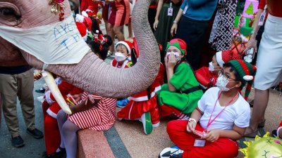 五头大象身著圣诞老人服装、戴著巨大的口罩，在一所小学宣传“接种疫苗”的信息，并向学生分发洗手液，口罩和气球。（图取自路透社）