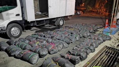 警方起获68包装在黑色塑料袋的哥冬叶，市值为3500令吉。