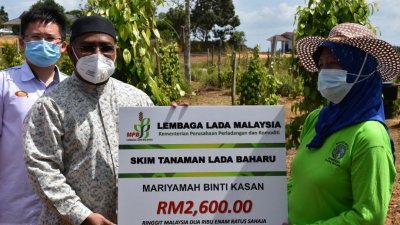 莫哈末凯鲁丁（中）颁发奖励金予胡椒园种植计划参与者。