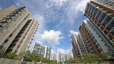 新加坡建屋发展局调查发现，居住在政府组屋的新国居民首次减少。