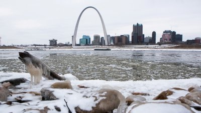 上周末期间，大半个美国气候恶劣，像处在个大冰箱中。这是在上周四的密苏里州密西西比河河畔，积雪覆盖圣路易斯拱门。（图取自路透社）