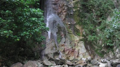 爱莲园有个很美的瀑布。