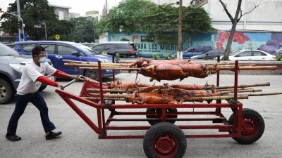 菲律宾农业协会称，非洲猪瘟持续传播，全国养猪头数约1300万头，已损失580万头，达44.6%，养猪业产值蒸发1350亿披索（约275亿令吉）。图为马尼拉卫星城市奎松上个月展示的烤猪。（路透社）