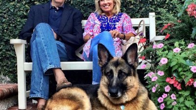 拜登2008年当选副总统后，便从宾夕法尼亚州一个饲养员那里得到了还是幼犬的“冠军”。据报，这是妻子吉尔答应给他的选后宠物。