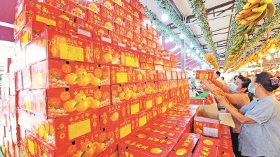 在新冠肺炎的冲击下，国内的华裔只能以“新常态”迎接农历新年。