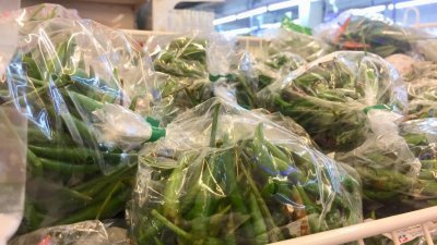 为进一步提高国内辣椒生产量，农业及食品工业副部长拿督斯里阿末韩查鼓励更多年轻人投身辣椒种植业。