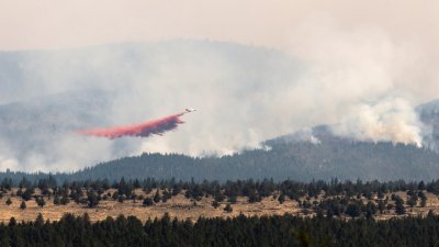 俄勒冈州“靴筒山火”的面积不断扩大，一架消防飞机投放阻燃化学品。（图取自路透社）