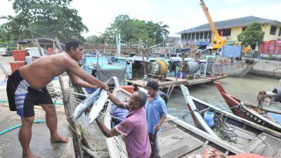 柔希盟建议渔民、务农者及养殖业者获得一次性1000令吉援助金。（档案照）