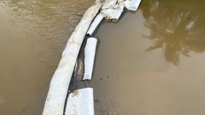 环境局及相关单位人员清理古来新港河。