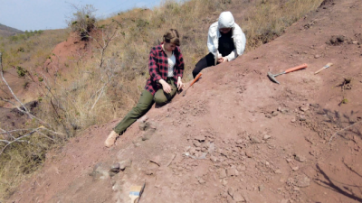 云南禄丰恐龙幼体化石发掘现场。