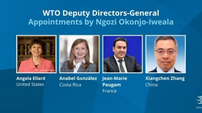 (图取自WTO Twitter)